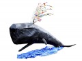 Skeleton Sea - Whale